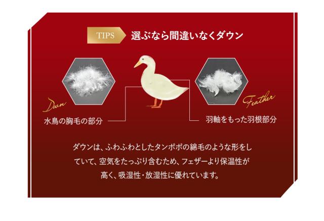 日本製 エクセルゴールドラベル 羽毛布団 シングル 収納ケース付き 高品質