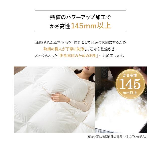 日本製 エクセルゴールドラベル 羽毛布団 シングル 収納ケース付き 高品質