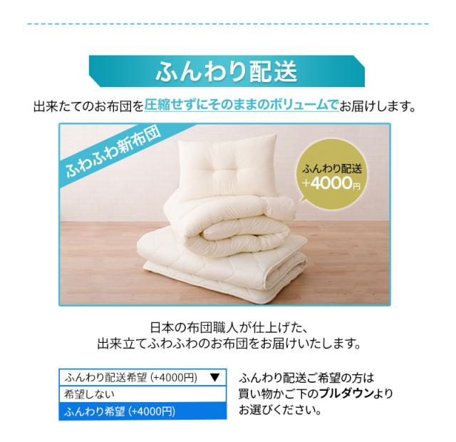 日本製 強力 防ダニ 布団6点セット シングルサイズ クラッセゼロ