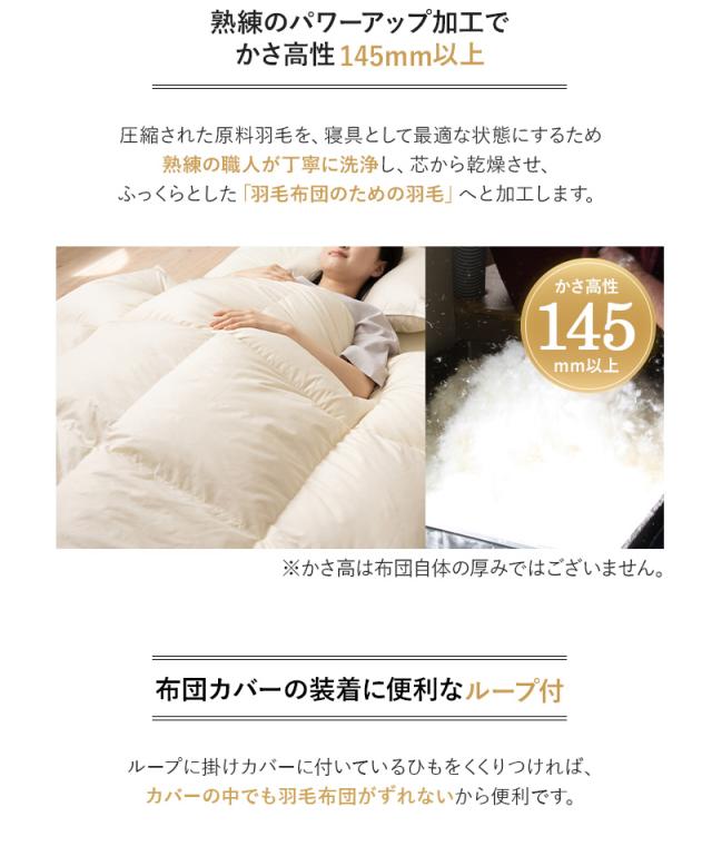 日本製 エクセルゴールドラベル 羽毛布団 3点セット シングル 羽毛布団 敷き布団 枕 収納ケース付き 高品質
