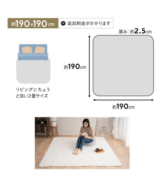 至福の睡眠 ラグ ラグマット カーペット 絨毯 敷きパッド 長方形 正方形 しっとり