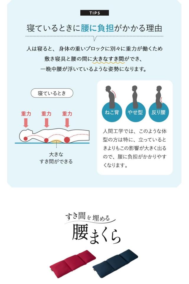 すき間を埋める 腰まくら 腰枕 ビーズクッション 高さ調節シート付き 腰痛 猫背 反り腰