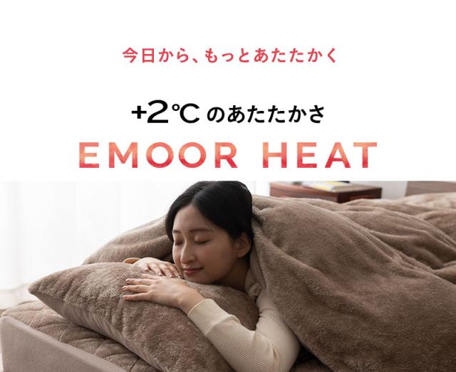 発熱わた入り 掛け布団 シングル シンサレート 極暖 +2℃ 吸湿発熱 エムールヒート