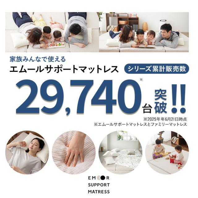 エムールサポートシリーズ累計販売数