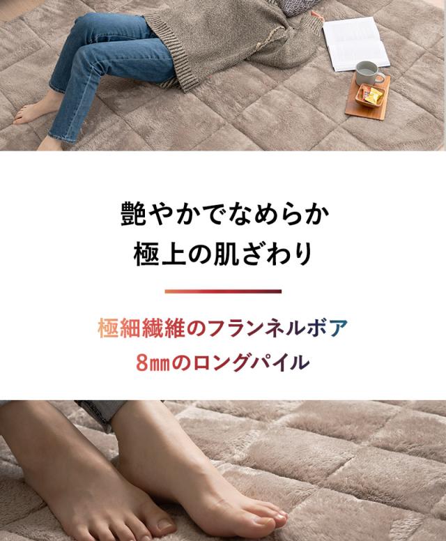 ラグ カーペット 絨毯 130×190cm 長方形 約1.5畳 極暖 +4℃ 吸湿発熱 ヒートプラス