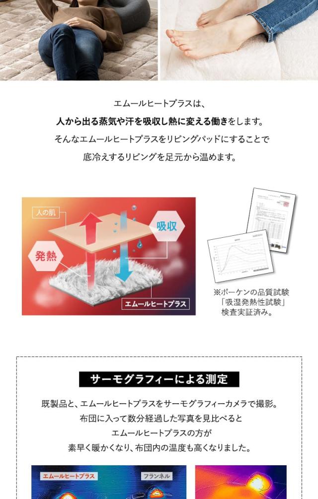 ラグ カーペット 絨毯 190×240cm 長方形 約3畳 極暖 +4℃ 吸湿発熱 ヒートプラス