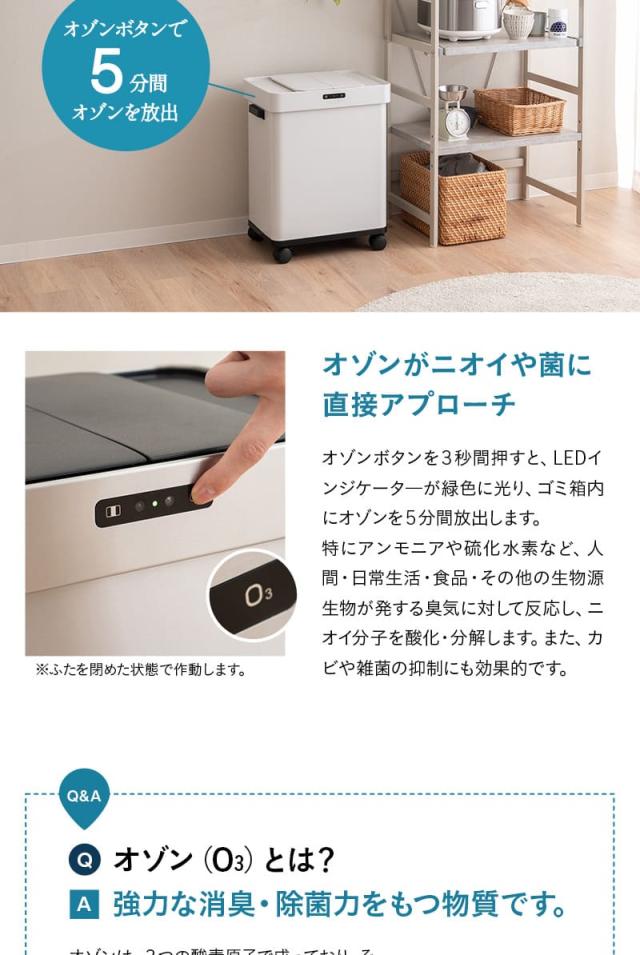 オゾン消臭機能付 電動スライドダストボックス 50L 大容量 分別 自動開閉 ゴミ箱 ふた付き 角型