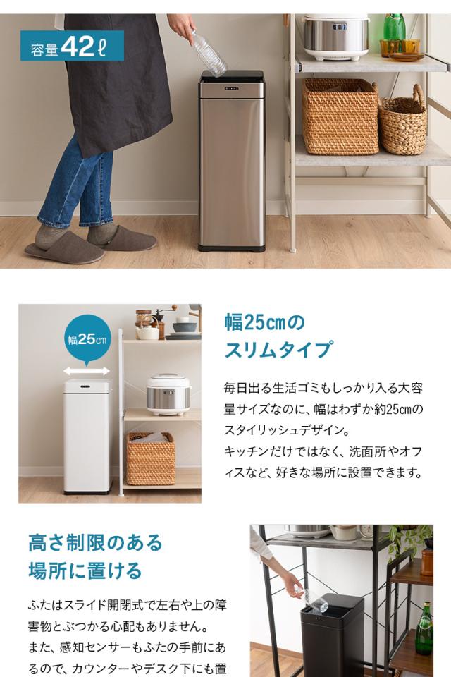 オゾン消臭機能付 電動スライドダストボックス 42L 自動開閉 45Lゴミ袋対応