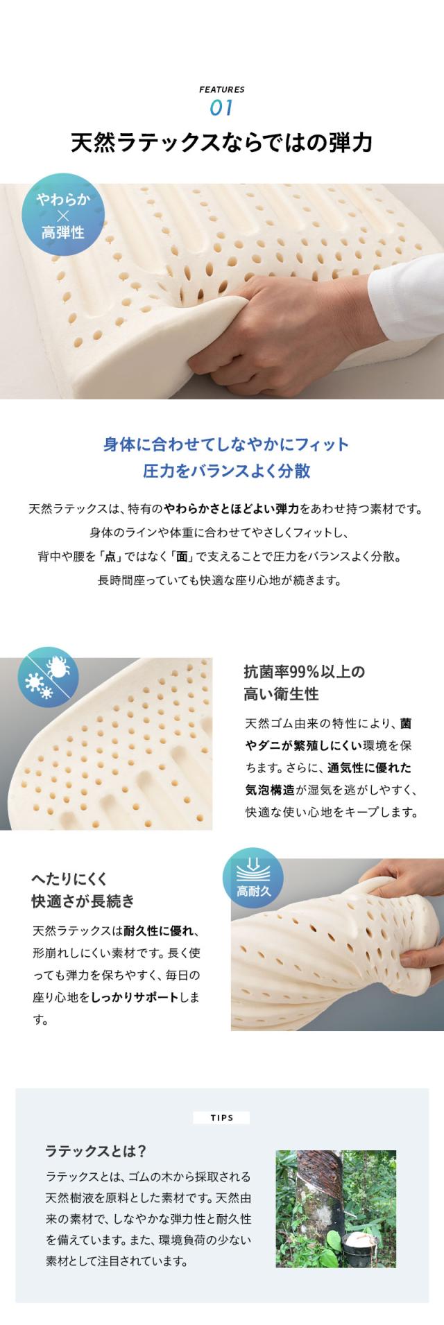 ラテックス 腰プロテクター 固定バンド付き Well Doctor
