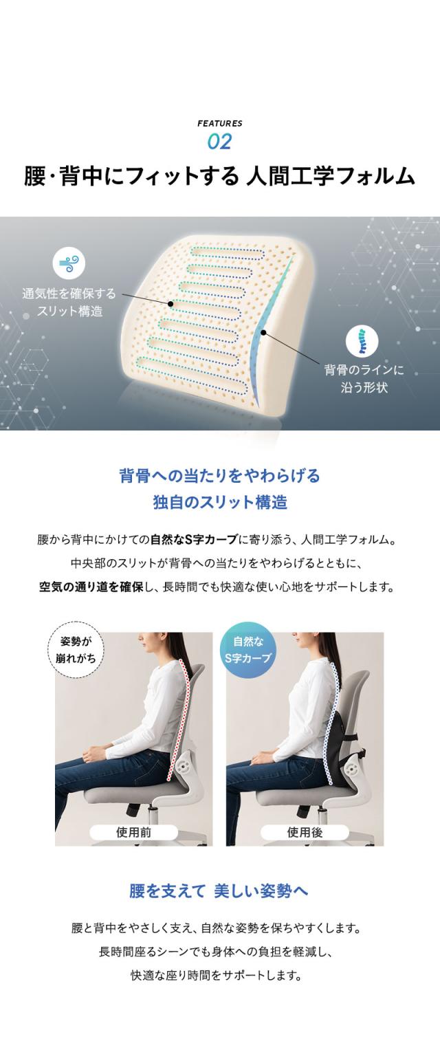 ラテックス 腰プロテクター 固定バンド付き Well Doctor