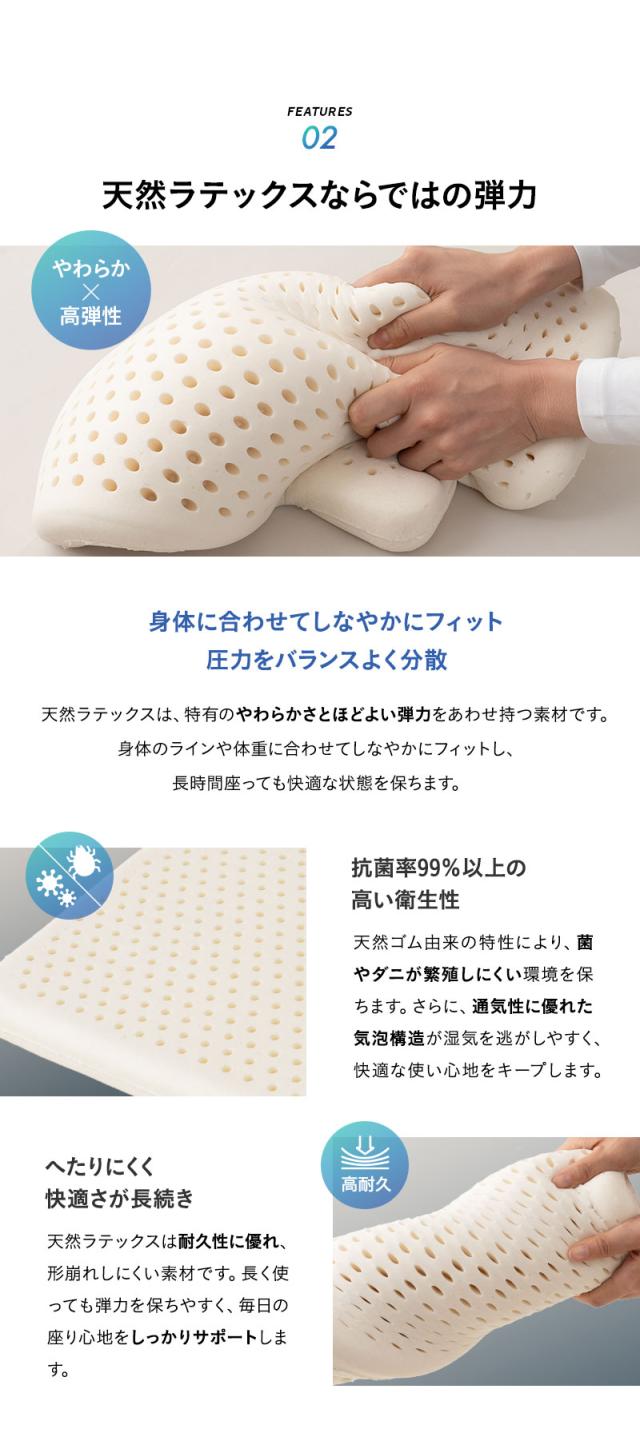 ラテックス 腰プロテクター 固定バンド付き Well Doctor