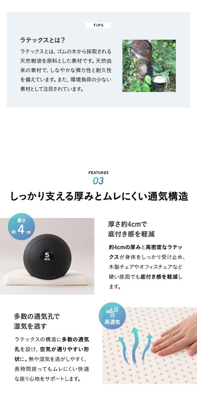 ラテックス 腰プロテクター 固定バンド付き Well Doctor