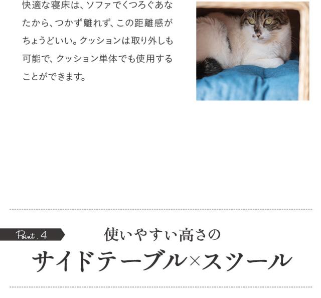 ソファサイドテーブル＆キャットベッド ラタン 籐 天然素材 軽量 しなやか 丈夫 長持ち 隠れ家 テーブル スツール 椅子 腰掛け EMOOR neDOGko 自然と暮らすシリーズ