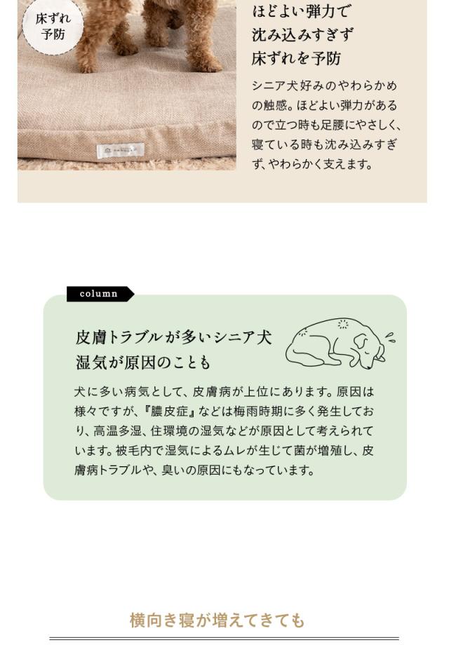 ケアベッド ドッグベッド 枕付き 撥水カバー 低床 シニア 老犬 介護 体圧分散 通気性 フラットベッド マットレス 犬用 猫用 ペット用