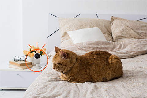 日本製人気 ネットワークカメラ - KDDI au HOME/with HOME店|商品ロットナンバー:383840876 03の通販はau PAY マーケット 即納正規品