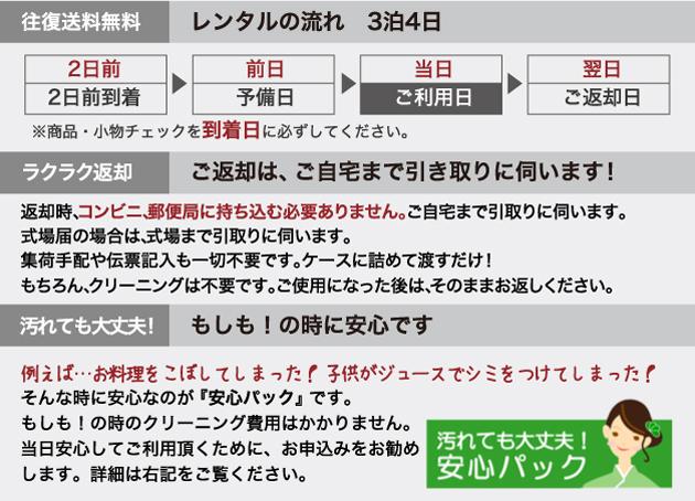夏モーニング レンタル 4月中旬〜10月中旬向け 大きいサイズ サマー 送料無料 NT-s01big