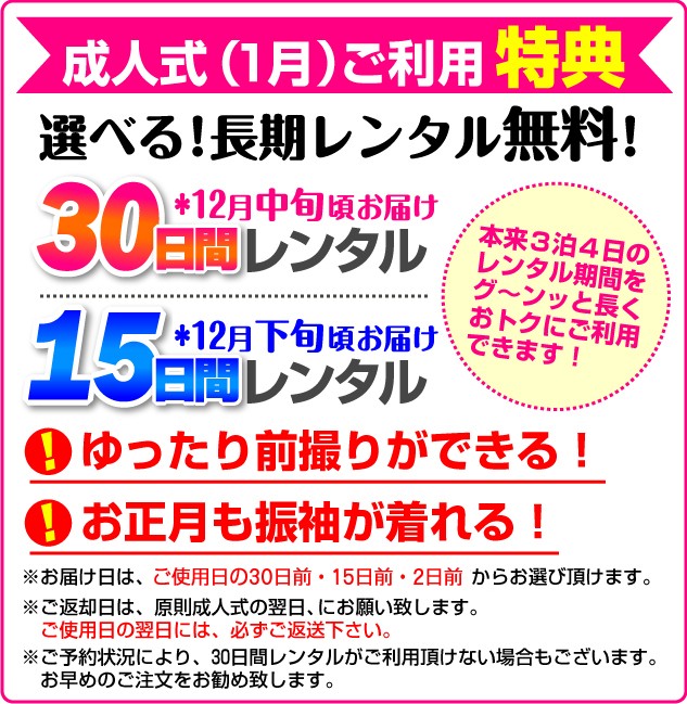 成人式 1月使用 振袖 レンタル ブルーグレー色 桜に御所車 NT-175-sei