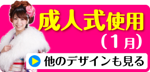 成人式 1月使用 振袖 レンタル レンガ色 四季花に御所車 NT-150-sei