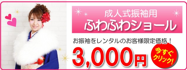 成人式 1月使用 振袖 レンタル 青色 菊に蝶 NT-204-sei 送料無料