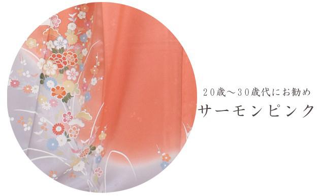 訪問着　レンタルの商品画像