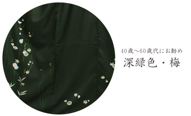 訪問着　レンタルの商品画像