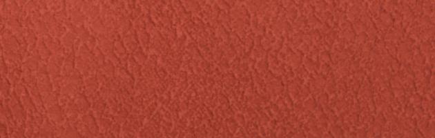 色無地 レンタル 袷〔10月〜5月向き〕レンガ色 お宮参り 送料無料 NT-76