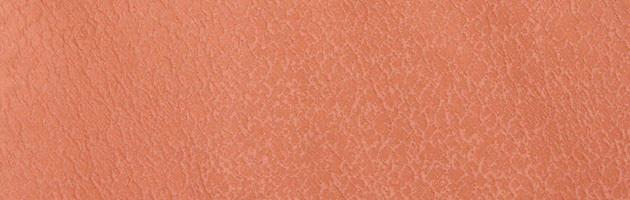 色無地 レンタル 袷 広幅〔10月〜5月向き〕レンガ色 お宮参り 送料無料