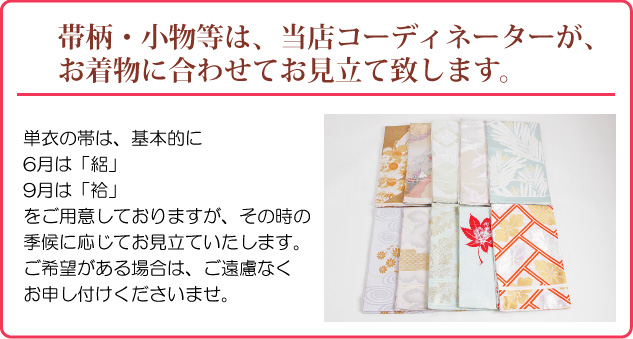 訪問着 単衣（6月/9月向け着物） ベージュ色 NT-301 お宮参り 七五三