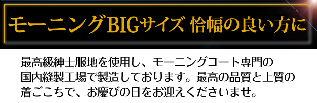 夏モーニング レンタル 4月中旬〜10月中旬向け 大きいサイズ サマー 送料無料 NT-s01big