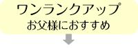 夏モーニング レンタル 4月中旬〜10月中旬向け サマー 送料無料 NT-s01