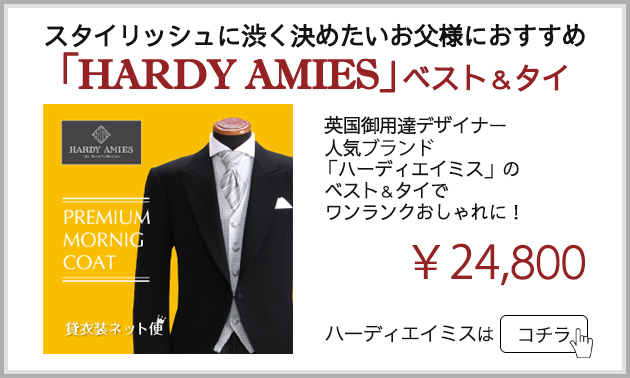 最高級 夏モーニング レンタル 4月中旬〜10月中旬向け サマー 送料無料 NT-s02