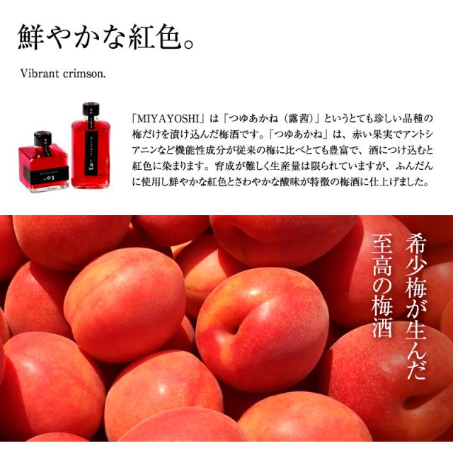 梅酒,お酒,MIYAYOSHI,宮好,露茜,和歌山