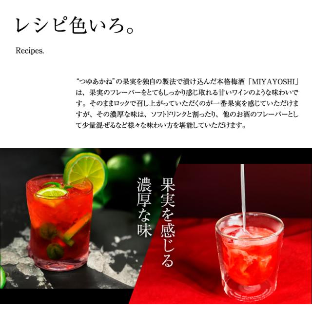 梅酒,お酒,MIYAYOSHI,宮好,露茜,和歌山