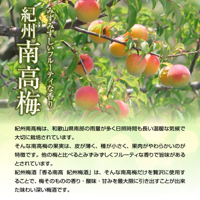 梅酒,お酒,香る南高,紀州梅酒,中野BC,和歌山