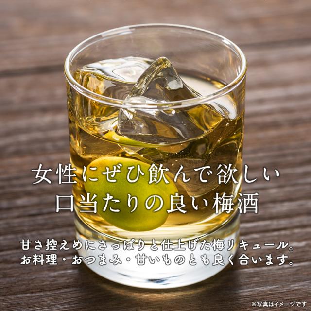 梅酒,お酒,梅リキュールaya,紀州南高梅,プラム食品