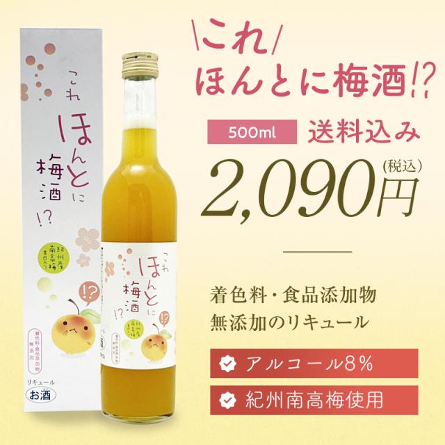 梅酒,お酒,これほんとに梅酒,紀州南高梅,プラム食品