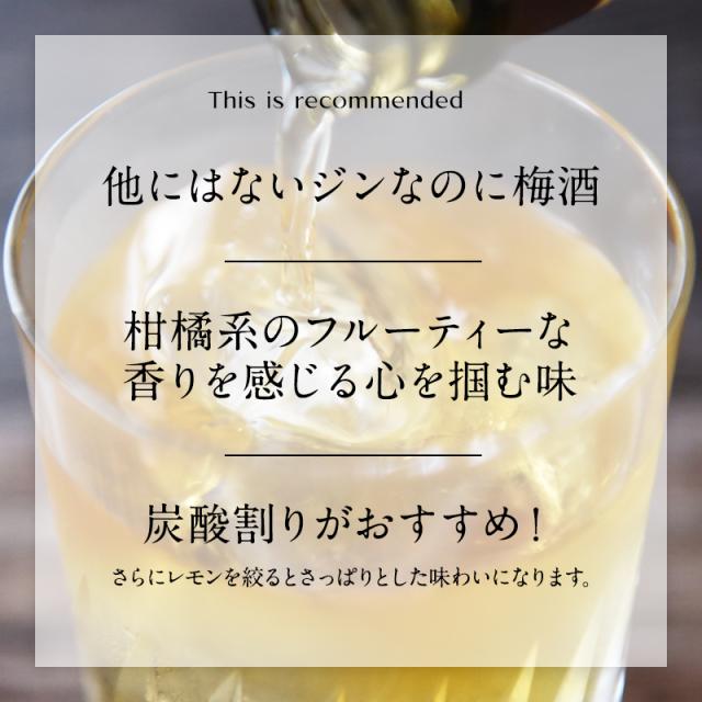 梅酒,お酒,クラフトリキュールくまの,紀州南高梅,プラム食品