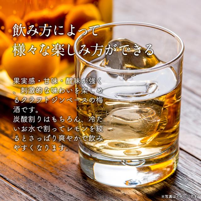 梅酒,お酒,クラフトリキュールくまの,紀州南高梅,プラム食品