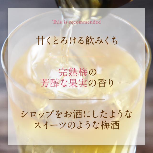 梅酒,お酒,熊野かすみ,紀州南高梅,プラム食品