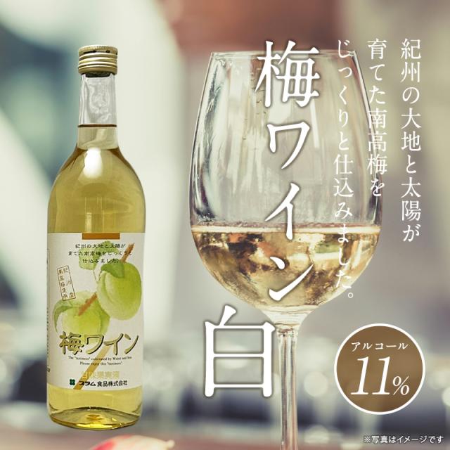 梅酒,お酒,梅ワイン白,紀州南高梅,プラム食品