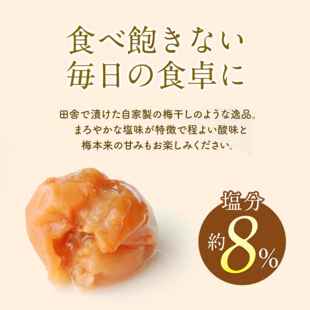 つぶれ梅 梅干し 訳あり 紀州南高梅