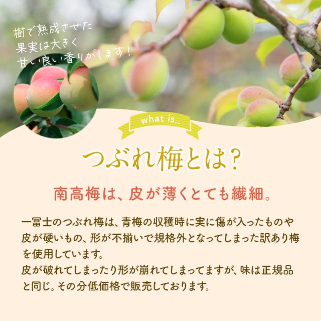 つぶれ梅 減塩はちみつ 訳あり 紀州南高梅