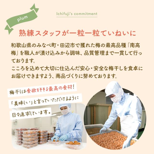 つぶれ梅 減塩しそ 訳あり 紀州南高梅