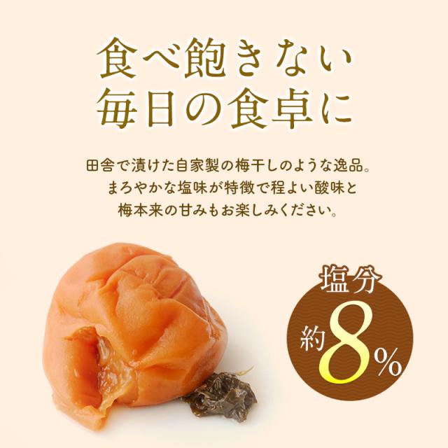 つぶれ梅 しそ 訳あり 紀州南高梅