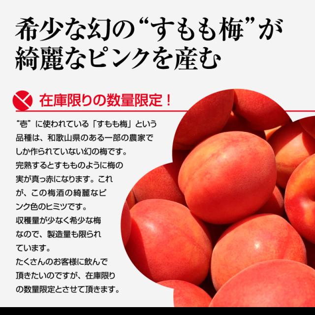 梅酒,お酒,壱,露茜,うめよし