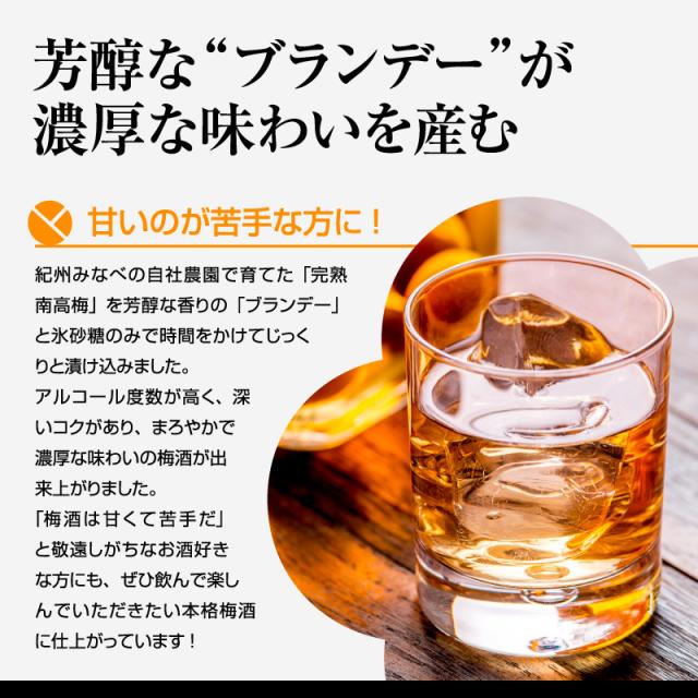 梅酒,お酒,善,うめよし
