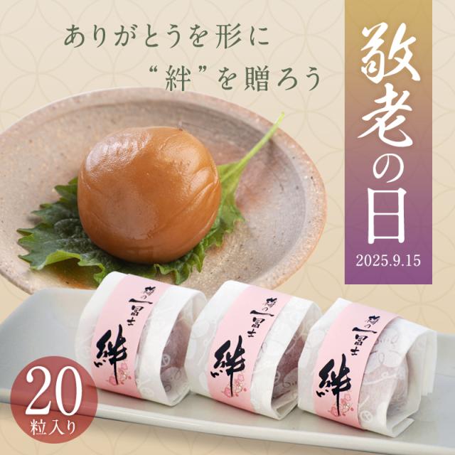 敬老の日,梅干し,うめぼし,ウメボシ,紀州南高梅,贈答