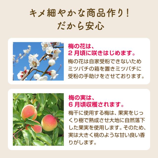 敬老の日,梅干し,うめぼし,ウメボシ,紀州南高梅,贈答