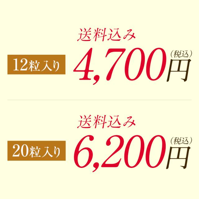 贈答 個包装 梅干し 紀州南高梅