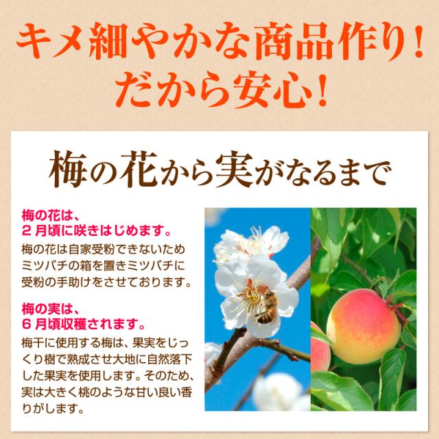 贈答 個包装 梅干し 紀州南高梅